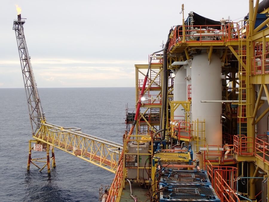 Platform and support crane